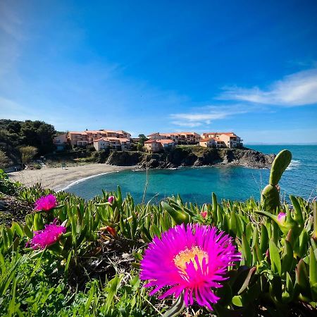 Apartamento Chez Caro Port Vendres Exterior foto
